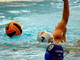 Pallanuoto: vittoria interna della formazione Allievi della Rari Nantes Imperia sul Lerici Pallanuoto: vittoria interna della formazione Allievi della Rari Nantes Imperia sul Lerici