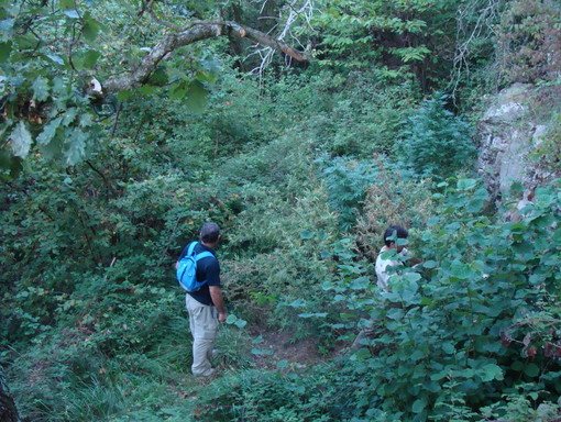Francia: sequestrata una tonnellata e mezzo di cannabis sull'autostrada ad Antibes, il Tir era diretto in Italia Francia: sequestrata una tonnellata e mezzo di cannabis sull'autostrada ad Antibes, il Tir era diretto in Italia