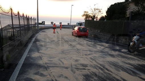 Sanremo: olive cadono da un mezzo e mettono a rischio il transito in via Semeria, intervento di Amaie Energia (Foto)