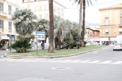 Sanremo: posizionata oggi l'erba sull'aiuola della parte alta di corso Mombello Sanremo: posizionata oggi l'erba sull'aiuola della parte alta di corso Mombello