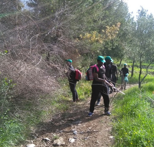 Imperia: pulizia dei sentieri in vista dell’annuale ‘Passeggiata tra gli Ulivi’ e le Ginestre in fiore Imperia: pulizia dei sentieri in vista dell’annuale ‘Passeggiata tra gli Ulivi’ e le Ginestre in fiore