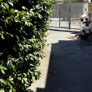 Ventimiglia: vegetazione di privati invadente, un cittadino chiede l'intervento del Sindaco