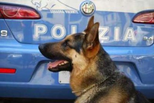 L'Unità Cinofila della Polizia in visita alla scuola Colombo di Sanremo e Taggia