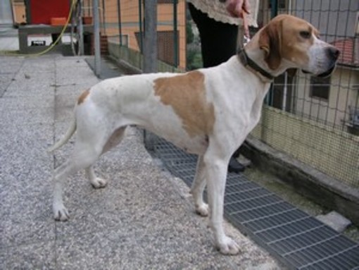 immagine di repertorio