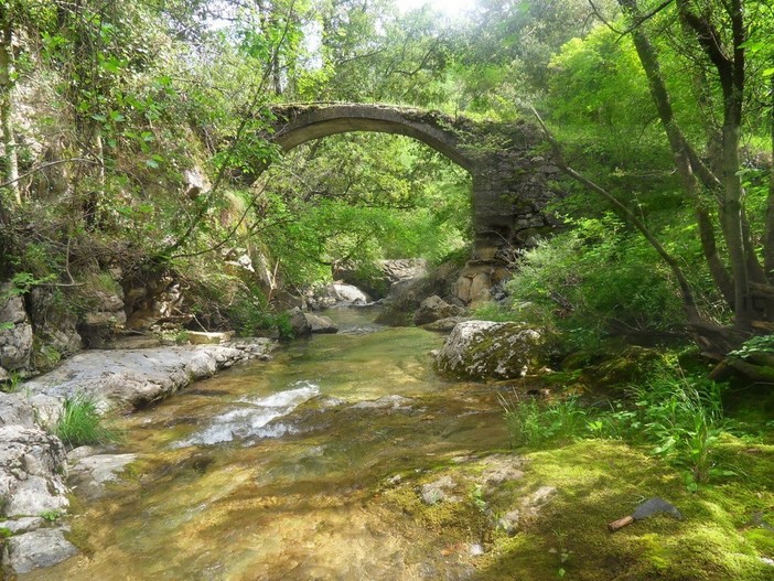 Pigna: Rio Carne, continua la vertenza ed entrano in campo anche Provincia ed Avvocatura di Stato