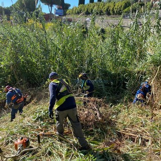 Le immagini dei lavori