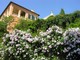Ventimiglia: mercoledì visita guidata ai Giardini Hanbury al calar del sole Ventimiglia: mercoledì visita guidata ai Giardini Hanbury al calar del sole
