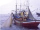 Pesca: in Consiglio Regionale discussa l'interrogazione sulla pesca di Roberto Bagnasco