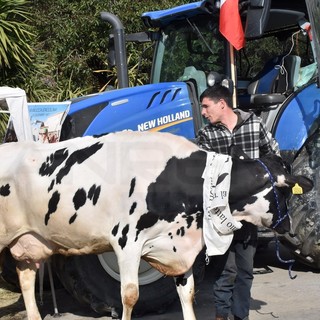 Sanremo: i trattori arriveranno venerdì e resteranno anche sabato, tra Valle Armea e il centro Sanremo: i trattori arriveranno venerdì e resteranno anche sabato, tra Valle Armea e il centro