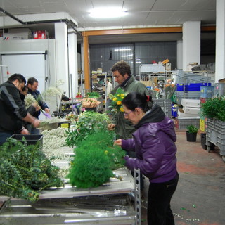 Questa sera la riunione dei giovani dell'Anga per preparare il Corso Fiorito