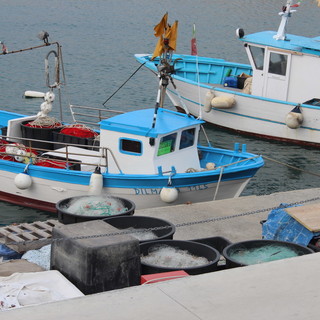 Fermo pesca: oggi la conferma di Coldiretti Impresapesca, in Liguria arriverà ad ottobre Fermo pesca: oggi la conferma di Coldiretti Impresapesca, in Liguria arriverà ad ottobre