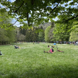 Sanremo: domenica prossima sul prato di San Romolo ultimo appuntamento dell'anno per 'Radice' Sanremo: domenica prossima sul prato di San Romolo ultimo appuntamento dell'anno per 'Radice'