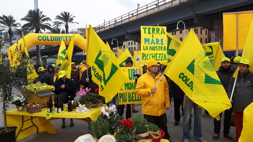 Immagine di repertorio