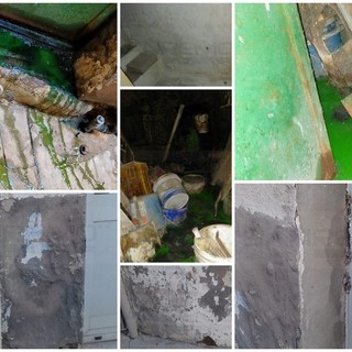 Sanremo: acque nere da mesi in via Tapoletti e vicolo Costa nella Pigna, a rischio muri e anche i caruggi (Foto) Sanremo: acque nere da mesi in via Tapoletti e vicolo Costa nella Pigna, a rischio muri e anche i caruggi (Foto)