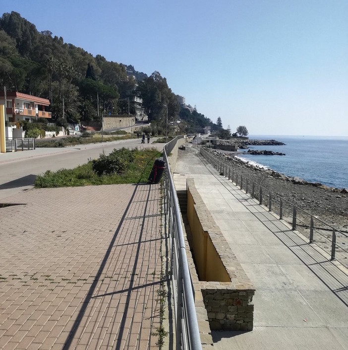 Ospedaletti: domani una giornata di pulizia di palme e verde sul tratto di pista ciclopedonale