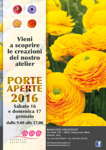 Porte Aperte 2016, iniziato il conto alla rovescia: sabato e domenica torna il tradizionale appuntamento con le varietà di ranuncoli e anemoni dell'azienda agricola Biancheri