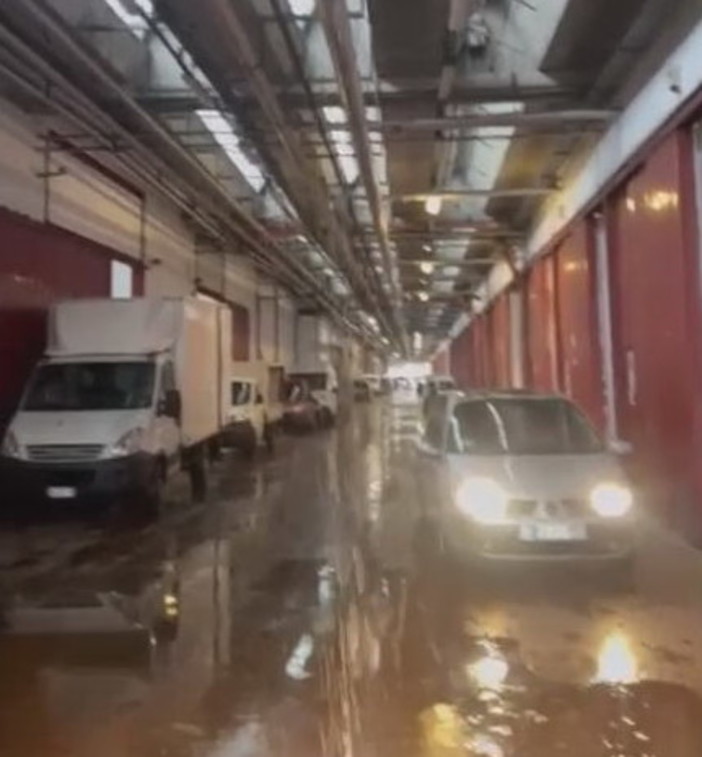 Sanremo: piove nei magazzini del mercato di Valle Armea e si lamentano gli affittuari, le rassicurazioni di Amaie Energia Sanremo: piove nei magazzini del mercato di Valle Armea e si lamentano gli affittuari, le rassicurazioni di Amaie Energia