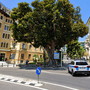 Sanremo, bilico con le travi per il parcheggio di piazza Eroi sbaglia strada e resta incastrato in via Nuvoloni Sanremo, bilico con le travi per il parcheggio di piazza Eroi sbaglia strada e resta incastrato in via Nuvoloni