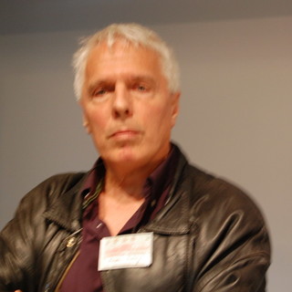 Punteruolo Rosso e palme: la Commissione Agricoltura del Senato respinge la proposta di Michel Ferry