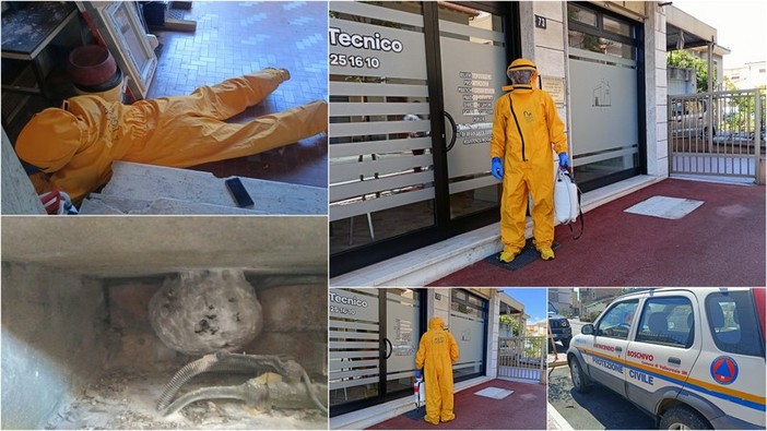 Vallecrosia, nido di vespe velutine: Protezione civile in azione (Foto e video) Vallecrosia, nido di vespe velutine: Protezione civile in azione (Foto e video)