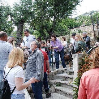 Sanremo: grande successo di partecipazione per le 'porte aperte' ieri al canile di strada San Pietro