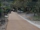 Dolceacqua: rischia di essere investito mentre si allena sulla ciclabile, le proteste di un nostro lettoe Dolceacqua: rischia di essere investito mentre si allena sulla ciclabile, le proteste di un nostro lettoe
