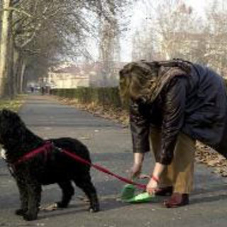 Sanremo: polemica sulle deiezioni canine, la provocatoria proposta di un lettore per tenere le strade pulite