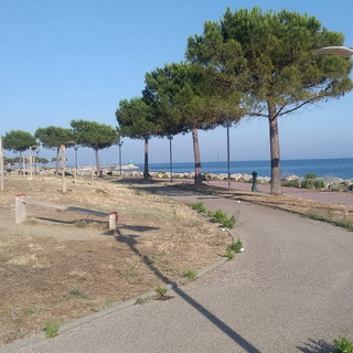 Imperia: domenica prossima al 'San Leonardo' la prima edizione della campestre ''Cross Parco Urbano' Imperia: domenica prossima al 'San Leonardo' la prima edizione della campestre ''Cross Parco Urbano'