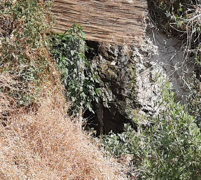 Ventimiglia, perdite dalla fognatura ai Balzi Rossi: la segnalazione di una cittadina, "Interventi già eseguiti ma il problema resta" Ventimiglia, perdite dalla fognatura ai Balzi Rossi: la segnalazione di una cittadina, "Interventi già eseguiti ma il problema resta"