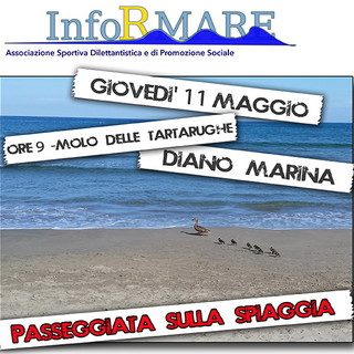 Diano Marina: domani una passeggiata con 'InforMare' per apprezzare le bellezze del mare