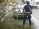 Sanremo: cade un grosso ramo da un pino marrittimo in via Gavagnin, intervento della Municipale (Foto)