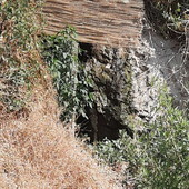 Ventimiglia, perdite dalla fognatura ai Balzi Rossi: la segnalazione di una cittadina, "Interventi già eseguiti ma il problema resta" Ventimiglia, perdite dalla fognatura ai Balzi Rossi: la segnalazione di una cittadina, "Interventi già eseguiti ma il problema resta"