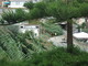 Sanremo: pulizia del torrente San Martino, la preoccupazione di una residente Sanremo: pulizia del torrente San Martino, la preoccupazione di una residente