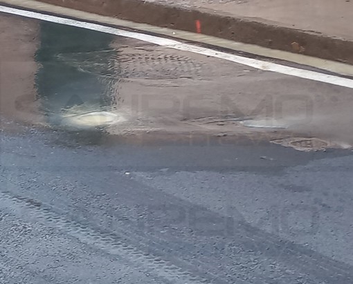 Sanremo: perdita dall'acquedotto in via Dante Alighieri, la segnalazione di una lettrice (Foto) Sanremo: perdita dall'acquedotto in via Dante Alighieri, la segnalazione di una lettrice (Foto)