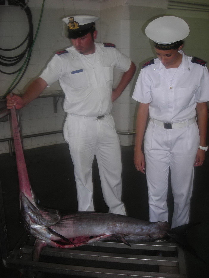 Divieto di pesca per il pesce spada fino al 30 novembre: previste multe fino a 3.000 euro