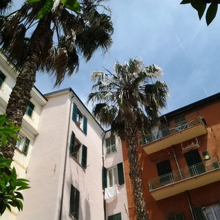 Sanremo: fiori e foglie dalle palme nei piatti e nei bicchieri dei dehor, piazza Bresca chiede un intervento al Comune