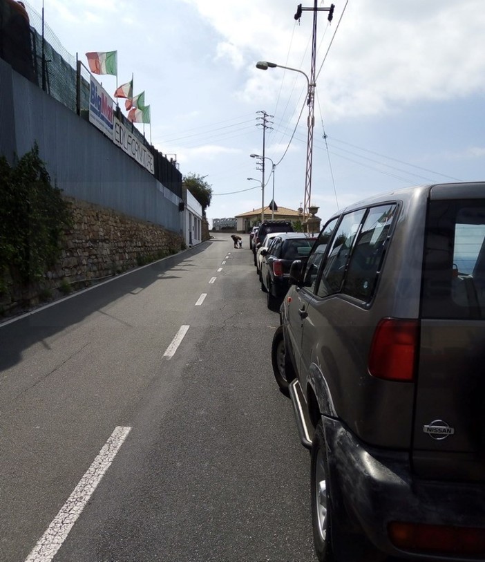 Sanremo: parcheggio 'selvaggio' in via Val D'Olivi, scrive all'Urp e chiede un intervento della Municipale (Foto)