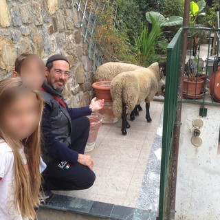 Seborga: pecorelle smarrite nel sabato 'didattico' alla Fattoria dei Templari, poi ritrovate e tornate a casa Seborga: pecorelle smarrite nel sabato 'didattico' alla Fattoria dei Templari, poi ritrovate e tornate a casa