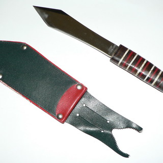 Immagine di repertorio Immagine di repertorio