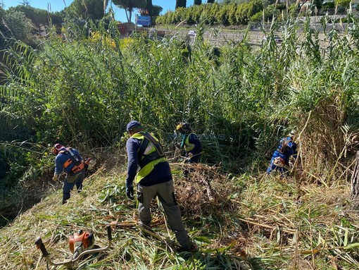 Le immagini dei lavori