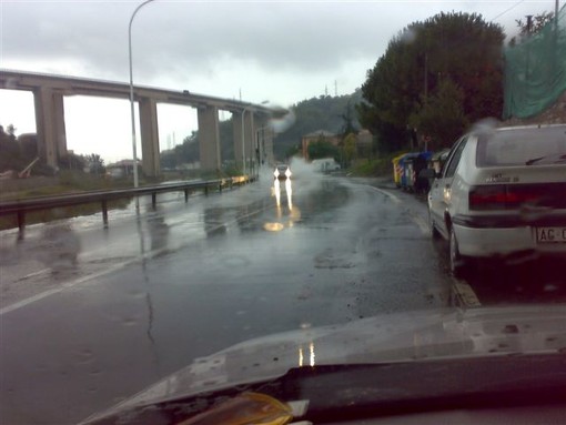Imperia: Bonifazio "Se via Siccardi piange, Barcheto non ride". Chiesto incontro urgente al sindaco Strescino Imperia: Bonifazio "Se via Siccardi piange, Barcheto non ride". Chiesto incontro urgente al sindaco Strescino