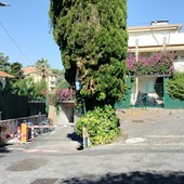 Omicidio di via Hope a Sanremo, la lite, le telecamere e i graffi sul corpo: così le indagini si sono concentrate sul figlio di Lorella Capano Omicidio di via Hope a Sanremo, la lite, le telecamere e i graffi sul corpo: così le indagini si sono concentrate sul figlio di Lorella Capano