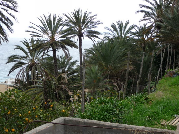 Bordighera, aree verdi: il Comune raddoppia il budget per la manutenzione orizzontale