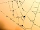 Più visibilità online con le web directory italiane gratis
