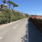 Sanremo: nuovo passo avanti per il collegamento della pista ciclabile con il Mercato dei Fiori