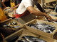 Nasce il nuovo Gal Fish Liguria: importante accordo per lo sviluppo e il rilancio dell’economia del mare Nasce il nuovo Gal Fish Liguria: importante accordo per lo sviluppo e il rilancio dell’economia del mare