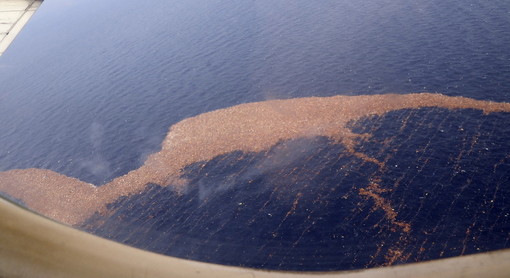 Photo by US Navy of the Great Pacific Garbage Patch