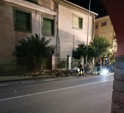 Bordighera: palma cade sotto la forza del vento sui fili del bus, intervento dei Vigili del Fuoco (Foto) Bordighera: palma cade sotto la forza del vento sui fili del bus, intervento dei Vigili del Fuoco (Foto)
