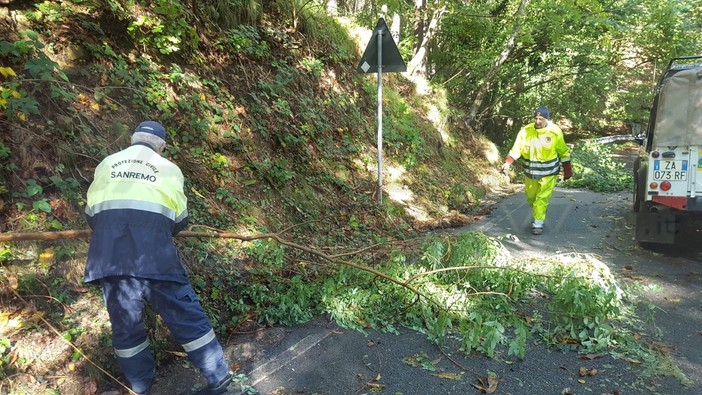 Protezione Civile di Sanremo e Bajardo liberano la strada tra Passo Ghimbegna e Vignai (Foto e Video) Protezione Civile di Sanremo e Bajardo liberano la strada tra Passo Ghimbegna e Vignai (Foto e Video)