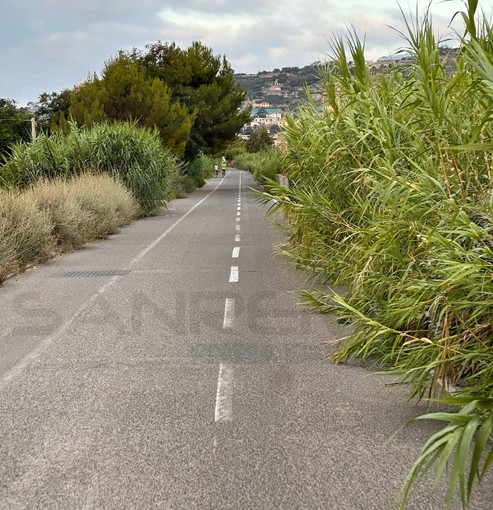 Sanremo: degrado sulla ciclabile e al 'bike park', la segnalazione e le foto di un nostro lettore Sanremo: degrado sulla ciclabile e al 'bike park', la segnalazione e le foto di un nostro lettore